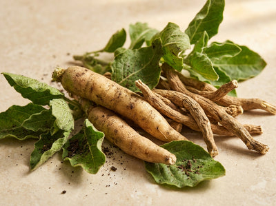 Ashwagandha